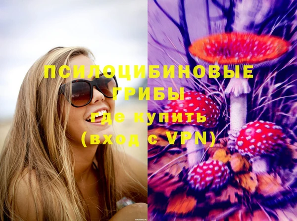 альфа пвп Медногорск