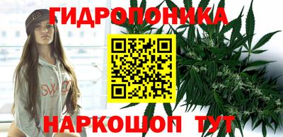 сатива Аргун