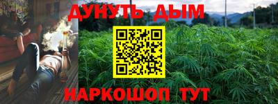 spice Новозыбков