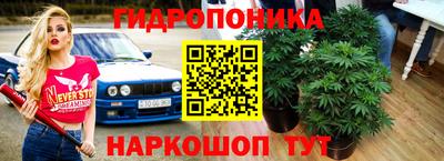 сатива Аргун