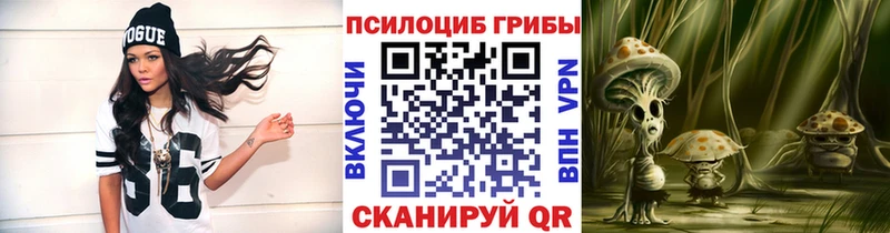 Псилоцибиновые грибы Cubensis  OMG tor  Тайшет 