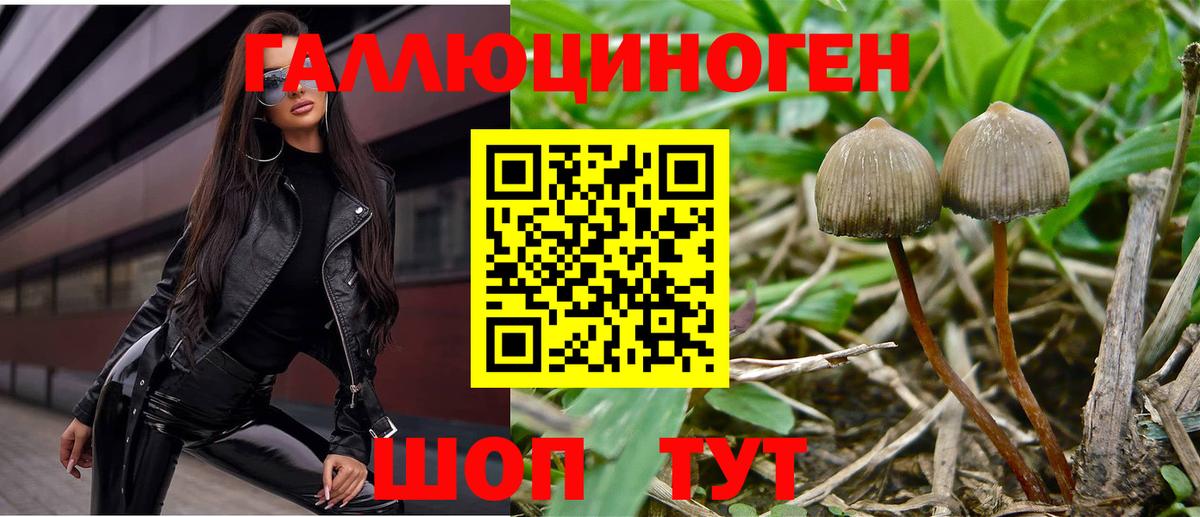 Галлюциногенные грибы ЛСД Тайшет